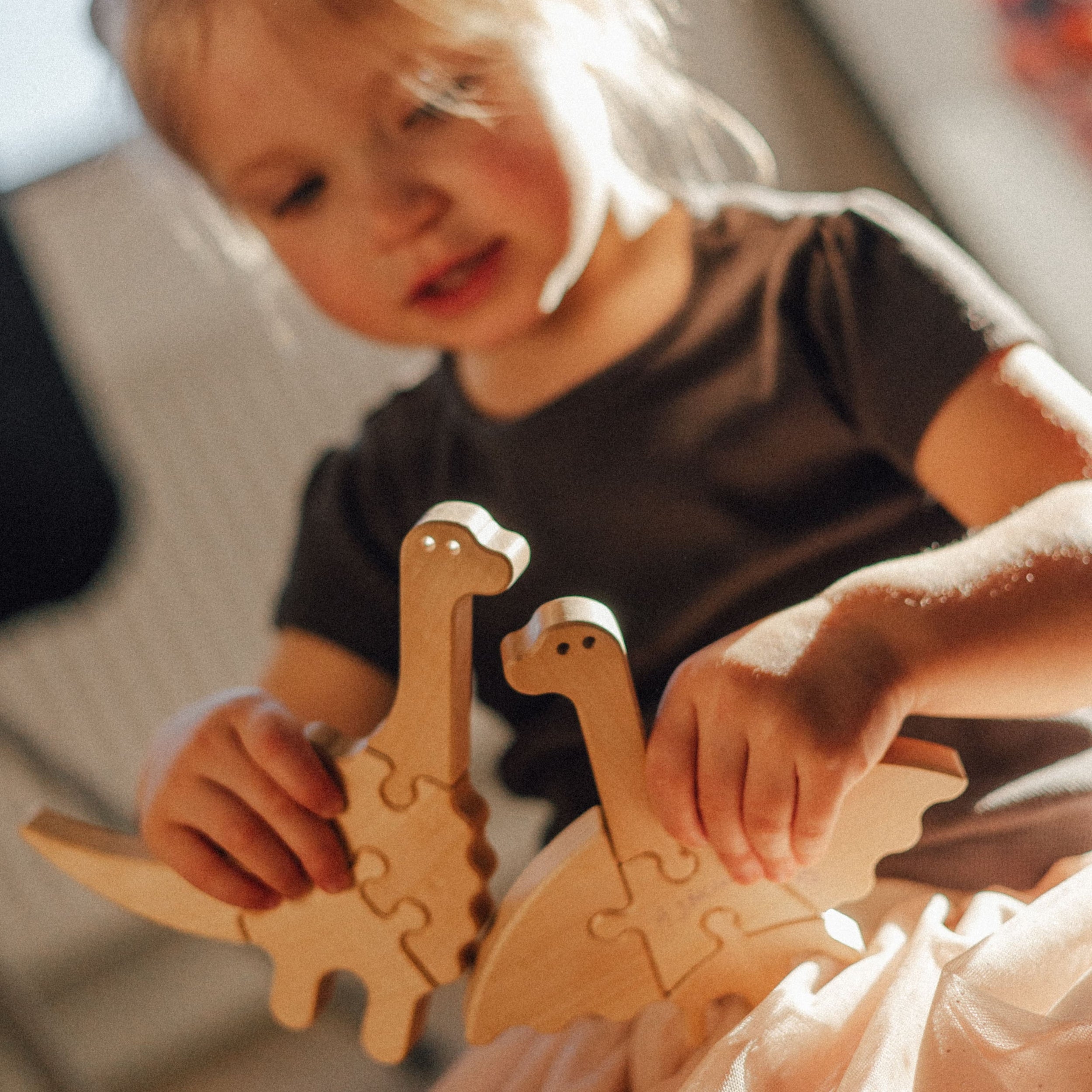 Дитина грається деревʼяними динозаврами