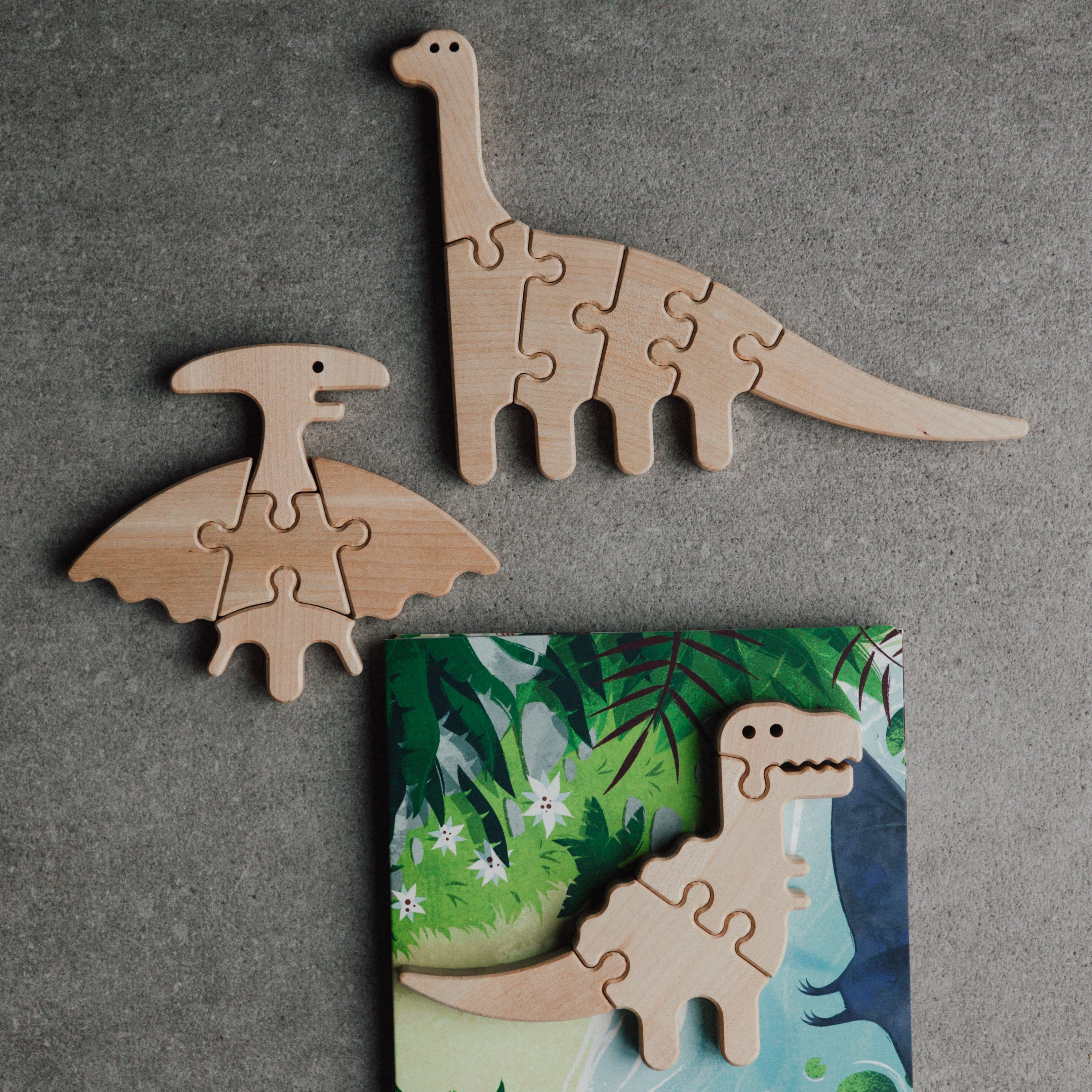 Wooden dinosaur puzzles on a gray background